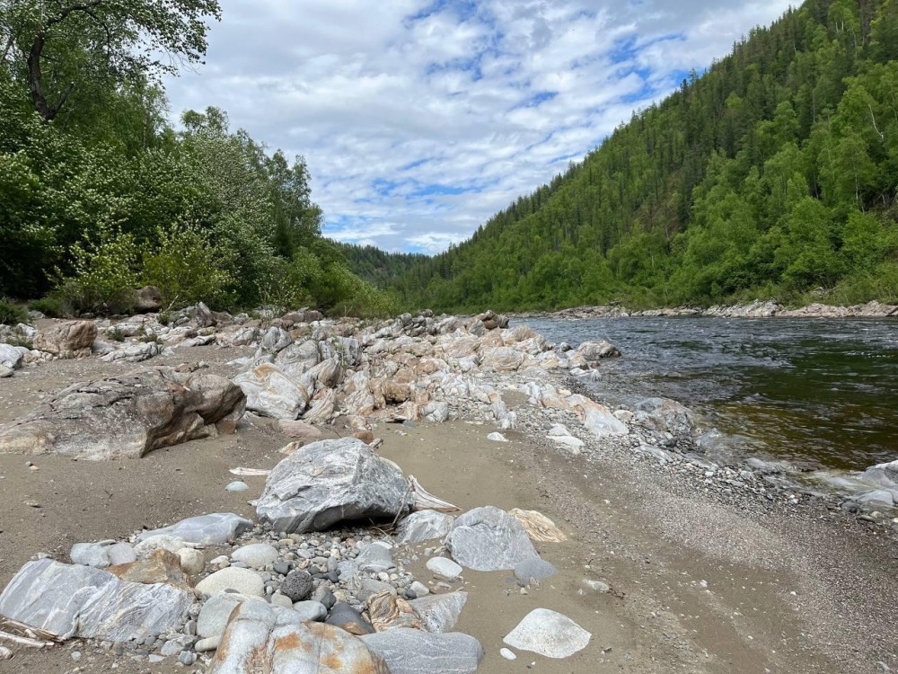 WhatsApp Image 2025-03-13 at 12.28.22.jpeg