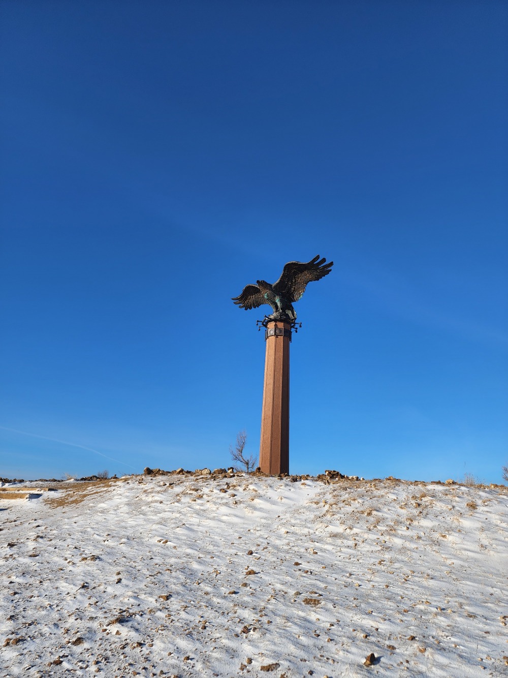 орёл.jpg