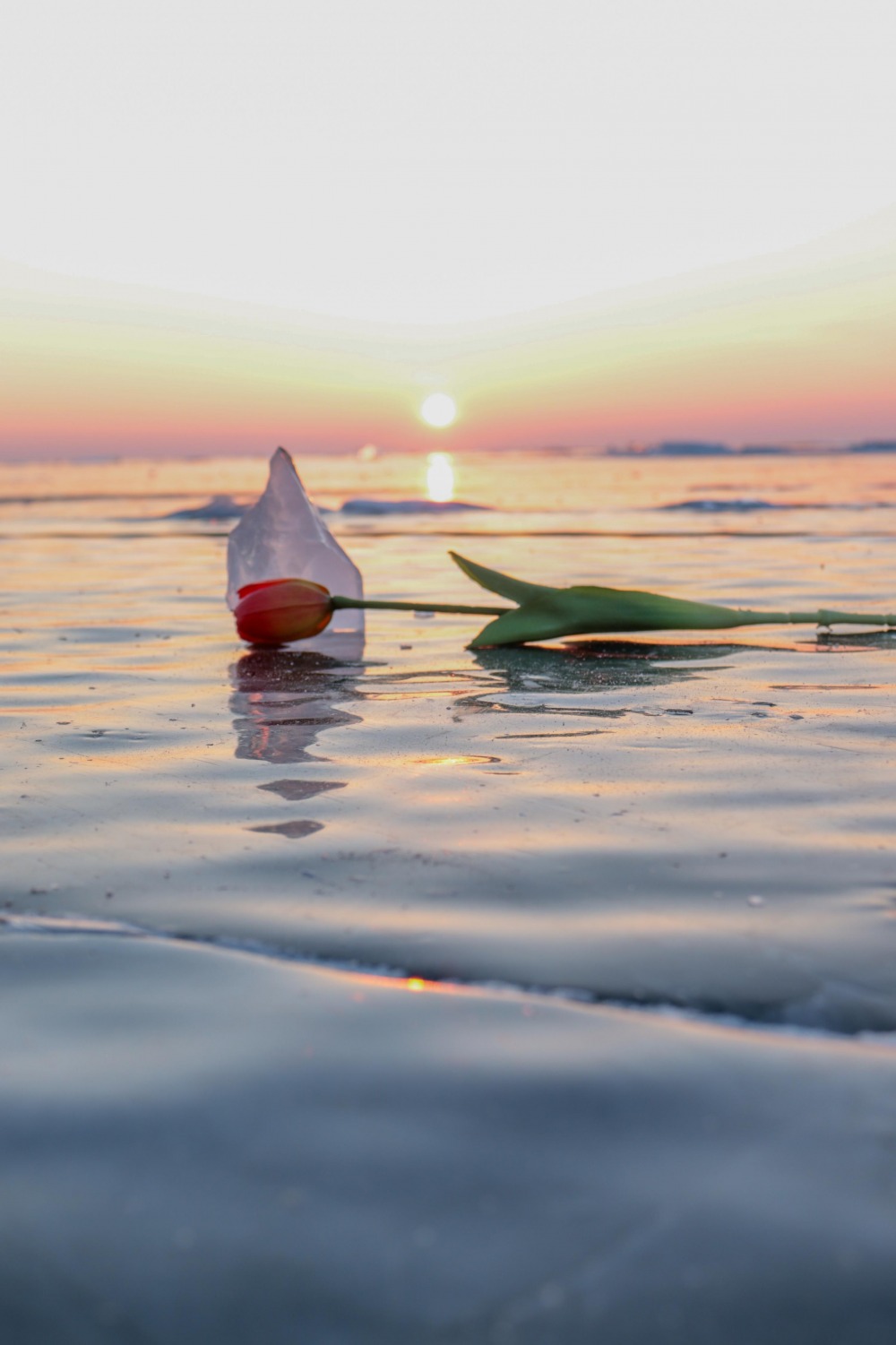 Изображение WhatsApp 2025-07-29 в 11.43.22_c31cd2b6.jpg