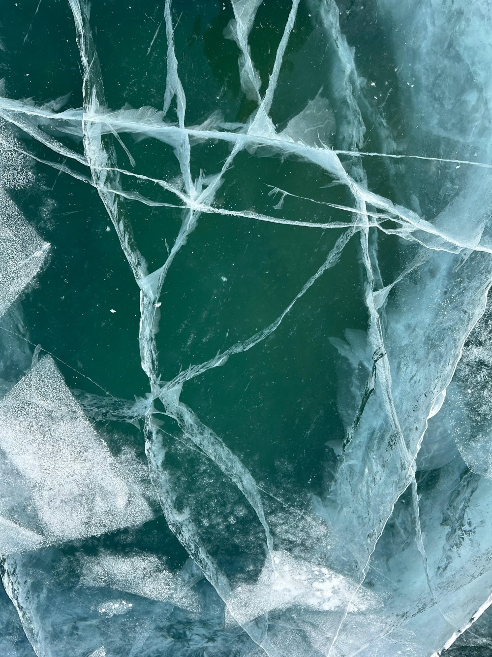 Изображение WhatsApp 2025-07-29 в 11.43.23_237cfa38.jpg