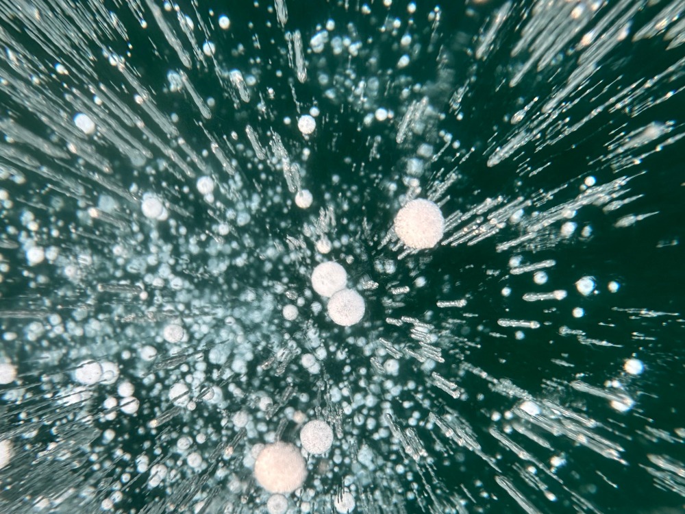 Изображение WhatsApp 2025-07-29 в 11.43.23_4c03bbfd.jpg